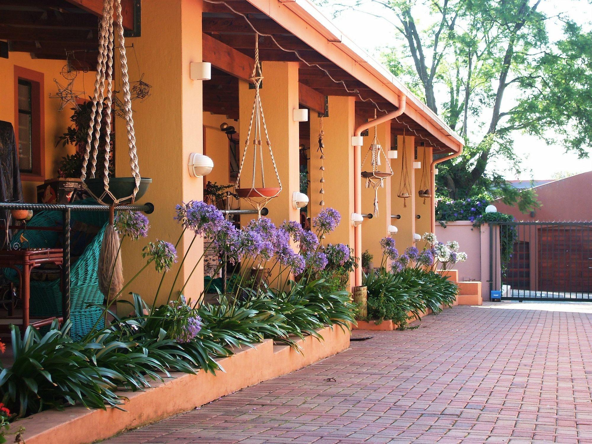 Cherry Tree Cottage B&B Linden Johannesburg Exterior photo